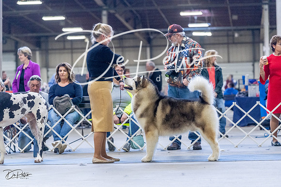 20230305-DSC01282