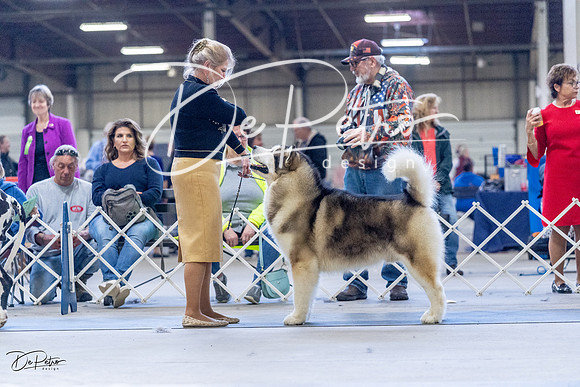 20230305-DSC01283