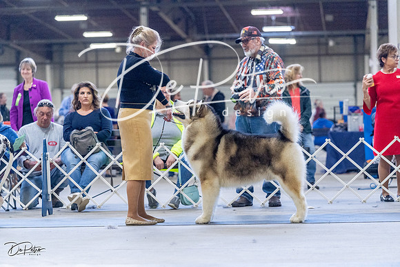 20230305-DSC01284