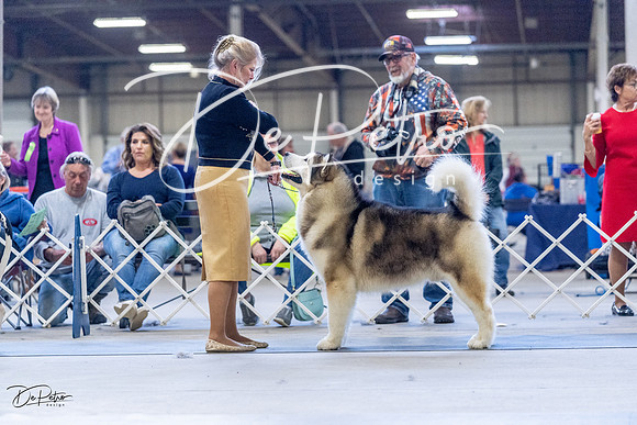 20230305-DSC01285