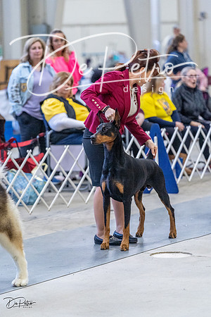 20230305-DSC01292