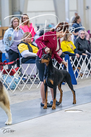 20230305-DSC01293
