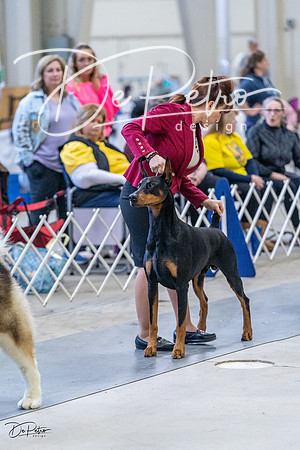 20230305-DSC01294
