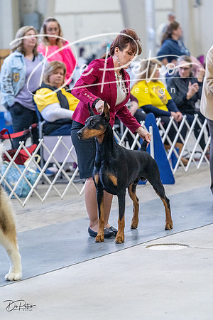 20230305-DSC01295