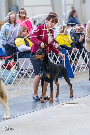 20230305-DSC01296