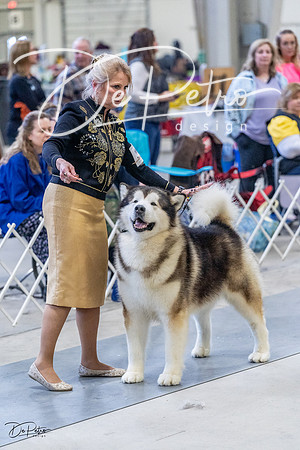 20230305-DSC01302