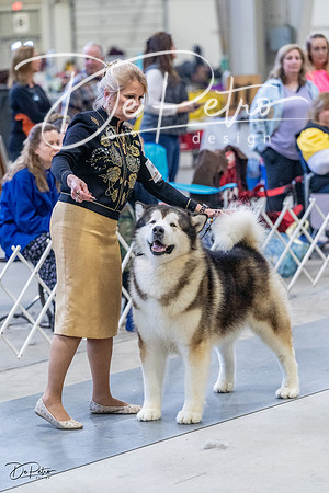 20230305-DSC01303
