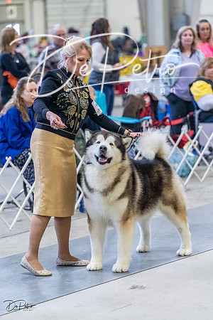 20230305-DSC01304