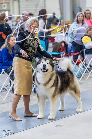 20230305-DSC01305