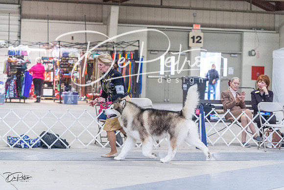 20230305-DSC01320