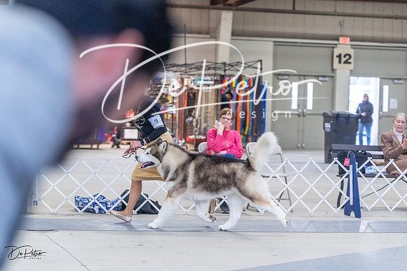 20230305-DSC01322