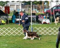 20240913-DSC00040