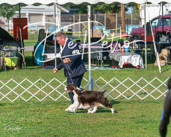 20240913-DSC00040