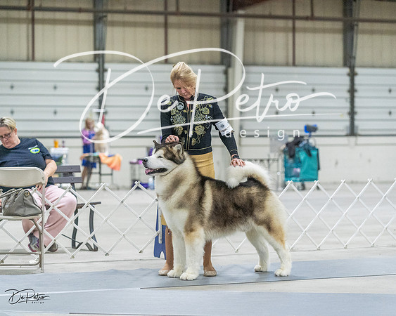 20230305-DSC01419
