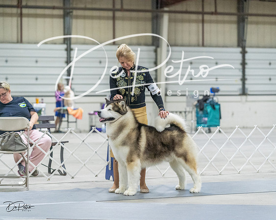 20230305-DSC01420
