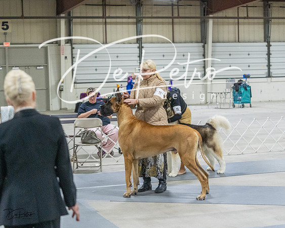 20230305-DSC01416