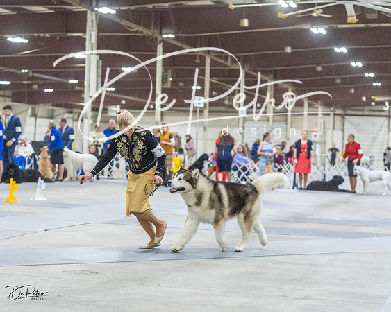20230305-DSC01428