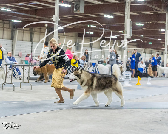 20230305-DSC01439