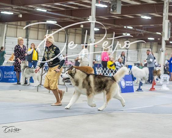 20230305-DSC01442