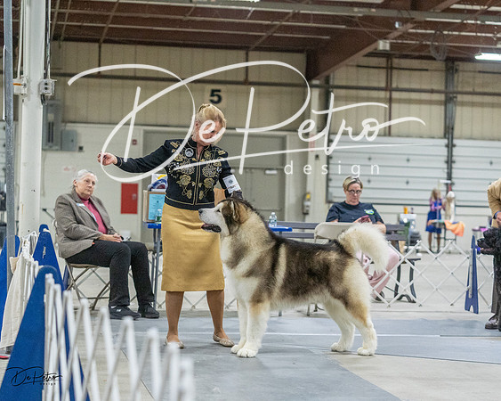 20230305-DSC01444