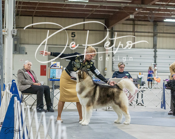 20230305-DSC01445