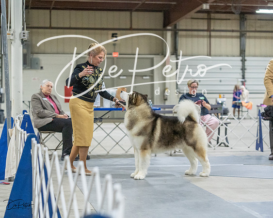 20230305-DSC01449