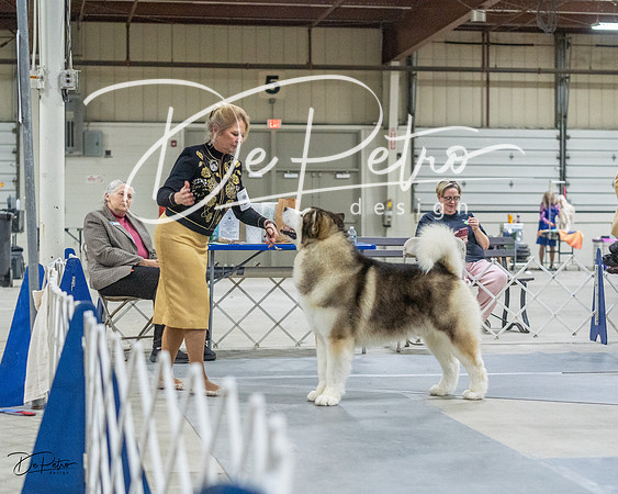 20230305-DSC01450