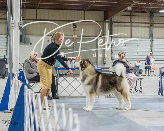 20230305-DSC01453