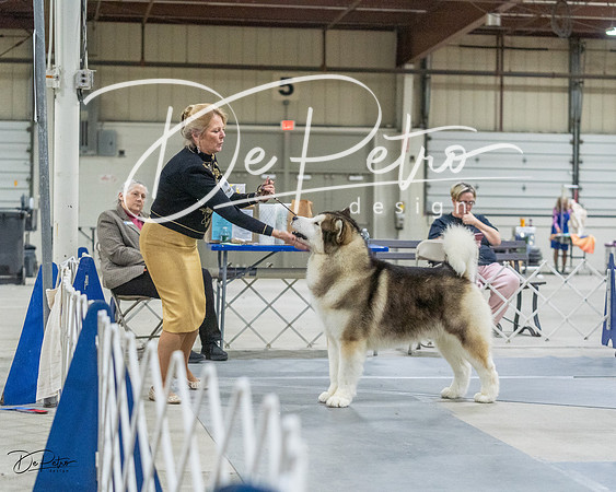 20230305-DSC01455