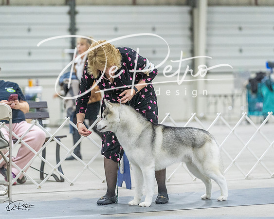 20230305-DSC01490