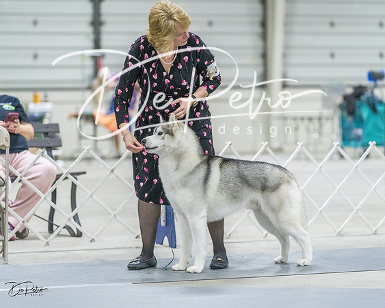20230305-DSC01499