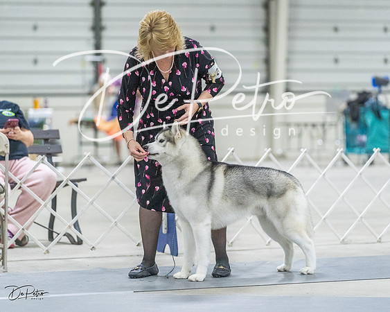 20230305-DSC01501