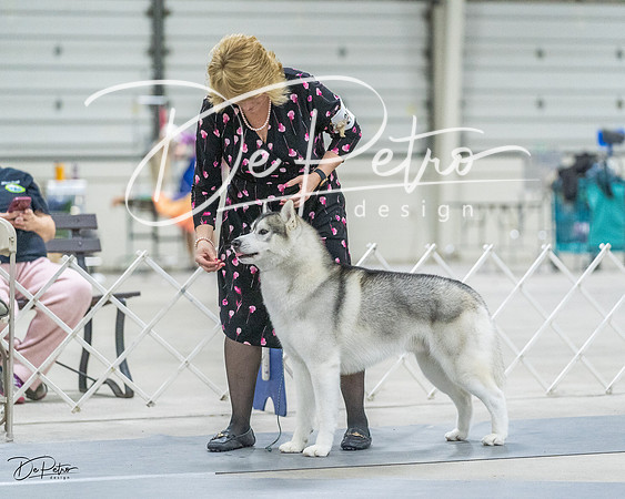 20230305-DSC01502