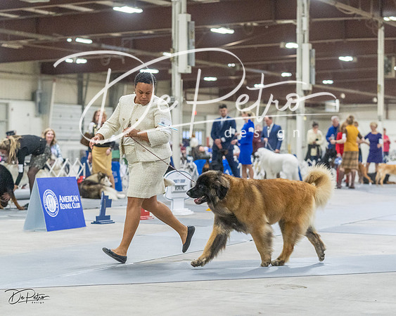 20230305-DSC01524