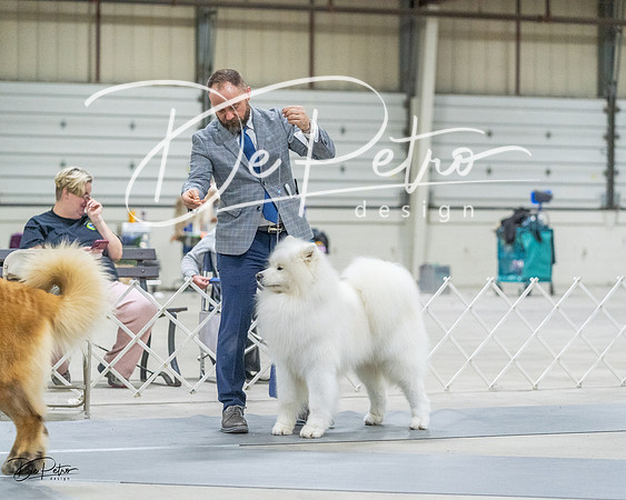 20230305-DSC01546