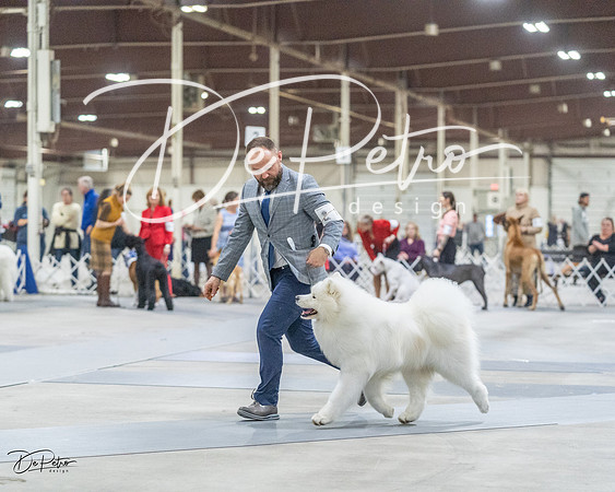20230305-DSC01564