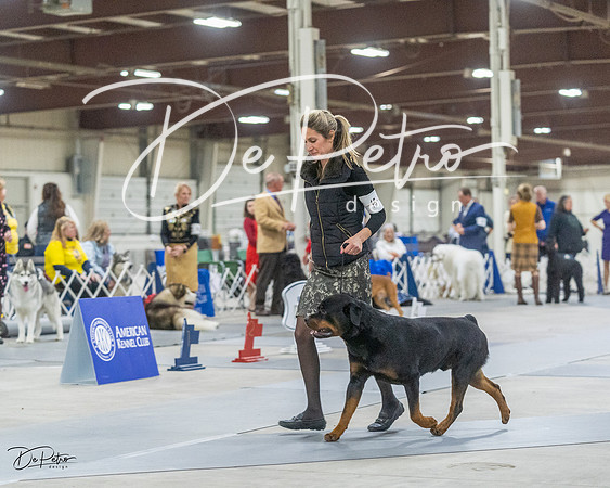 20230305-DSC01637