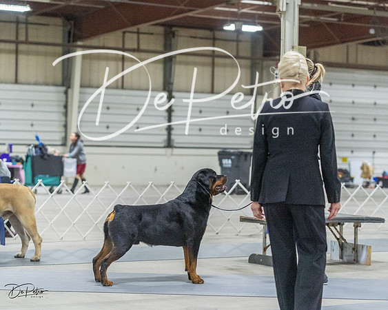 20230305-DSC01646