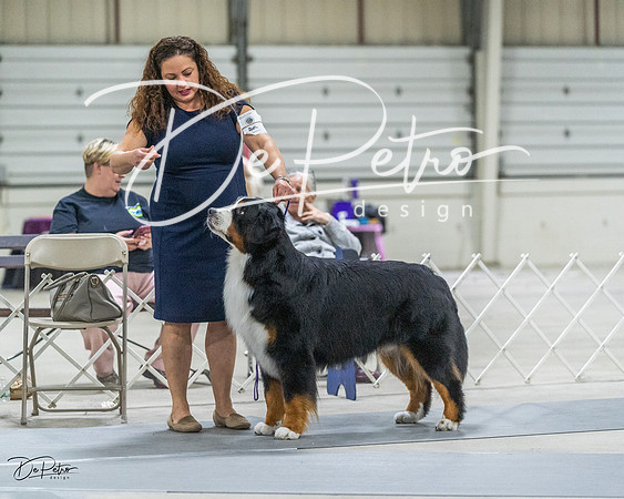 20230305-DSC01675