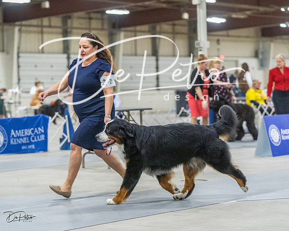 20230305-DSC01685