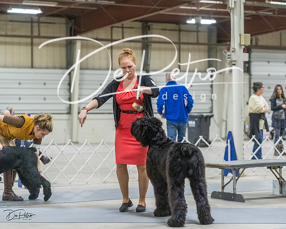 20230305-DSC01745