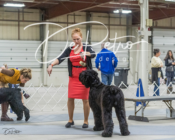 20230305-DSC01746