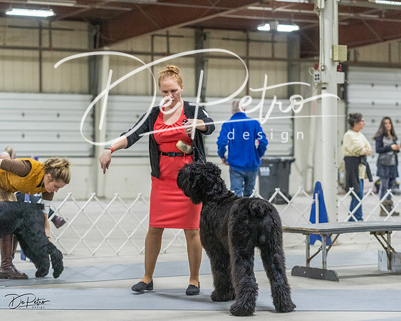 20230305-DSC01747