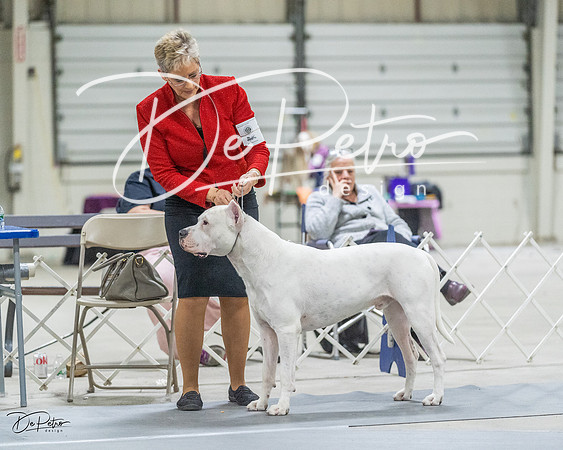 20230305-DSC01786