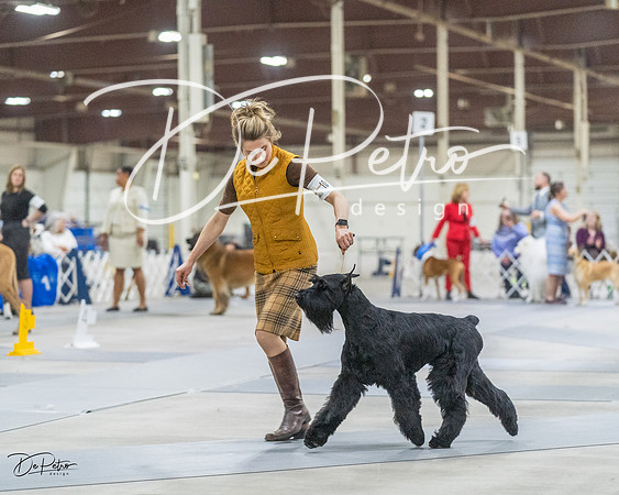 20230305-DSC01769