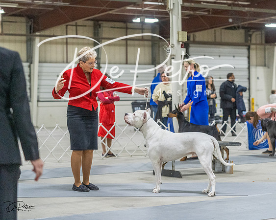 20230305-DSC01805