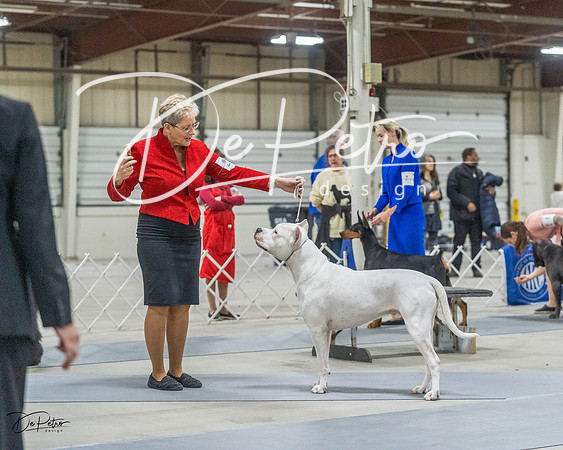 20230305-DSC01806