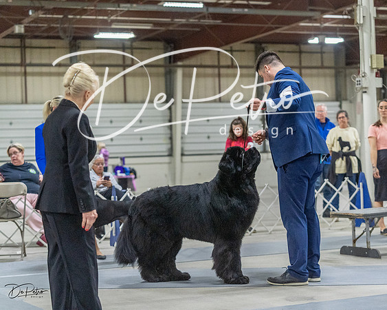 20230305-DSC01834