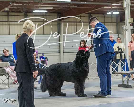 20230305-DSC01835