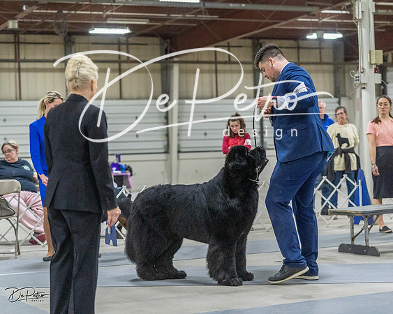 20230305-DSC01836